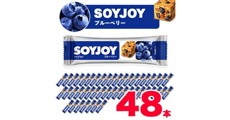 【ふるさと納税】SOYJOY　ソイジョイ 　　ブルーベリー　48本【1235996】