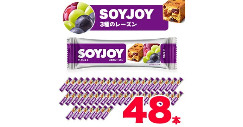 【ふるさと納税】SOYJOY　ソイジョイ　3種のレーズン　48本【1245550】