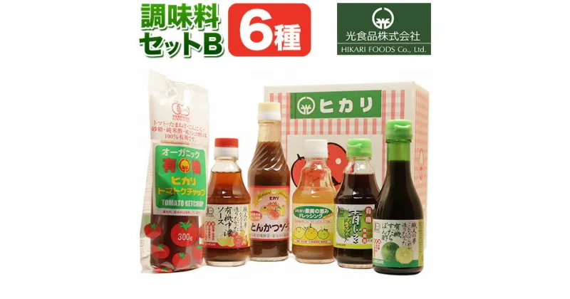 【ふるさと納税】＜光食品＞ 有機 調味料 セットB 6種 光食品 株式会社 《30日以内順次出荷(土日祝除く)》無添加 調味料 詰め合わせ バラエティーセット 中農ソース とんかつソース ケチャップ ドレッシング ノンオイル 無農薬栽培 徳島県 上板町