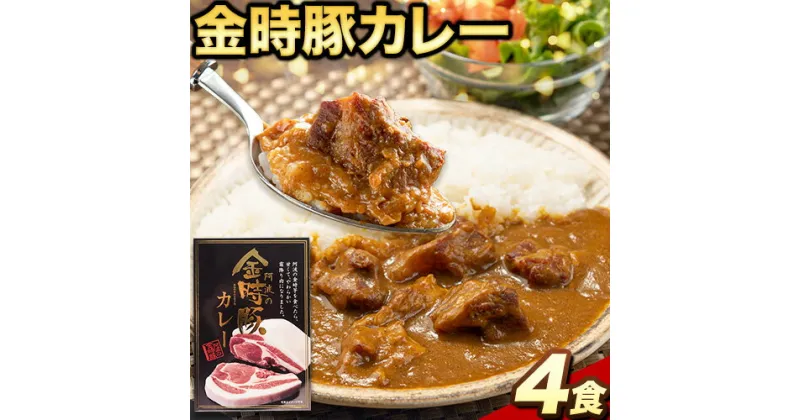 【ふるさと納税】 阿波の金時豚 カレー 4個 セット アグリガーデン 《30日以内に出荷予定(土日祝除く)》x 豚肉 肉 レトルトカレー ポークカレー カレー 送料無料 簡単調理 ギフト 徳島県 上板町