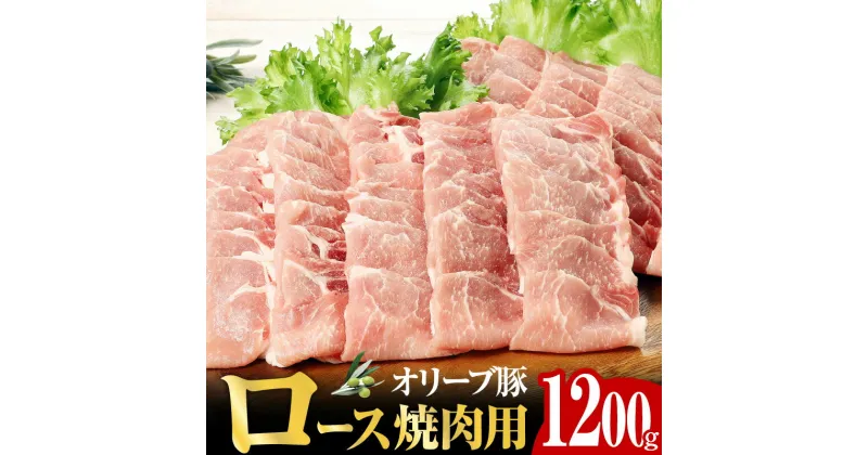 【ふるさと納税】オリーブ 豚 ロース 焼肉 用 1200g ( 1200g × 1パック ) 5～7人前 | オリーブ 豚肉 焼肉 プレミアム オレイン酸 ポリフェノール とろける あっさり 香川県 高松市 国産 ぶた 甘み うまみ 送料無料