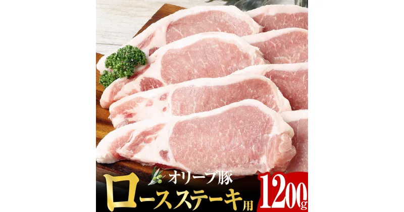 【ふるさと納税】オリーブ豚 ロース ステーキ用 1200g ( 1200g × 1パック ) 5～7人前 | 牛 プレミアム オリーブ 豚 肉汁 豊富 たっぷり 豚肉 厚切り ポリフェノール オレイン酸 ジューシー とろける ステーキ トンテキ あっさり 香川県 肉 ぶた 送料無料