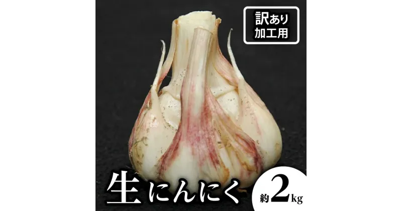 【ふるさと納税】加工用 訳あり 生にんにく 約2kg【2025-5月上旬～2025-6月上旬配送】 | にんにく 不揃い 歪形 外皮割れ 野菜 旬 旬の野菜 産地直送 鮮度 季節の野菜 料理 食材 農作物 農産物 生鮮食品 食品 アレンジ 加工 黒にんにく ペースト 家庭用 ご家庭用 高松市産