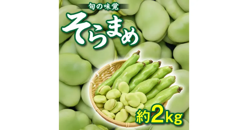 【ふるさと納税】旬の味覚 そらまめ 約2kg【2025年5月上旬～2025年6月上旬配送】 | 国産 高松市産 大粒 甘い 野菜 豆 旬 旬の味覚 食材 食品 おうち時間 家庭用 自宅用 贈り物 お取り寄せ 産地直送 瀬戸内 五色青果 香川県 高松市 送料無料