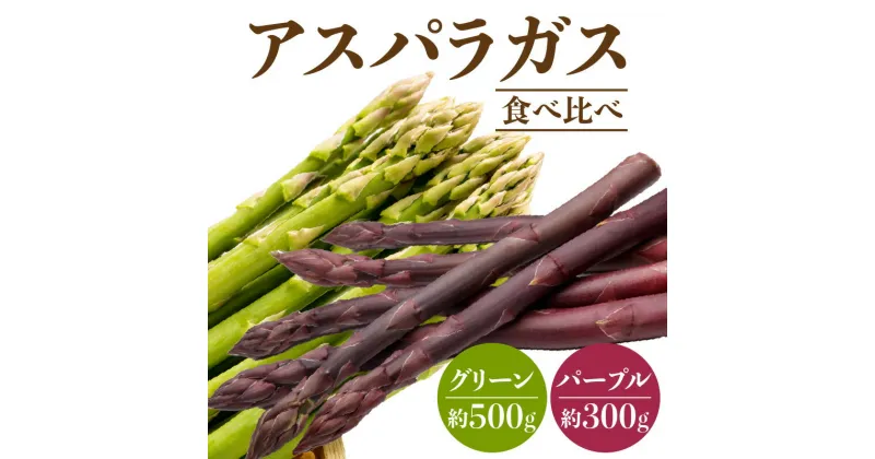 【ふるさと納税】グリーン(約500g)・パープル(約300g)アスパラガス食べ比べセット【2025-3月上旬～2025-9月下旬配送】 | アスパラガス 食べ比べ セット 野菜 アスパラ 香川県 高松市 シャキシャキ 甘み 柔らかい お取り寄せ