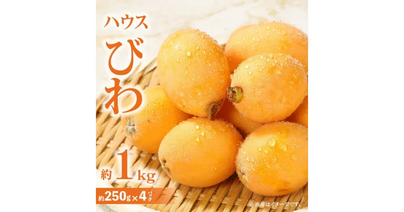 【ふるさと納税】ハウスびわ 約1kg【2025-3月中旬～2025-5月上旬配送】 | 果物 フルーツ 青果物 青果 ジューシー みずみずしい 甘い 贈り物 贈答 ギフト 自宅用 家庭用 ご褒美 おやつ デザート ハウス栽培 生鮮 生鮮食品 グルメ お取り寄せ お取り寄せフルーツ 手土産