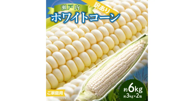 【ふるさと納税】訳あり ご家庭用 瀬戸内ホワイトコーン 約6kg【2025-6月中旬～2025-7月中旬配送】 | コーン とうもろこし トウモロコシ コーン 野菜 瀬戸内 香川県 高松市 送料無料