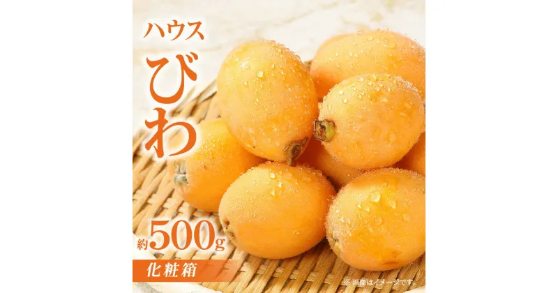 【ふるさと納税】ハウスびわ化粧箱 約500g【2025-3月中旬～2025-5月上旬配送】 | ハウス びわ 果物 フルーツ 青果物 青果 ジューシー 甘い 贈答 贈答用 ギフト 贈り物 プレゼント ご褒美 おやつ デザート スイーツ グルメ お取り寄せ お取り寄せフルーツ 生鮮 生鮮食品