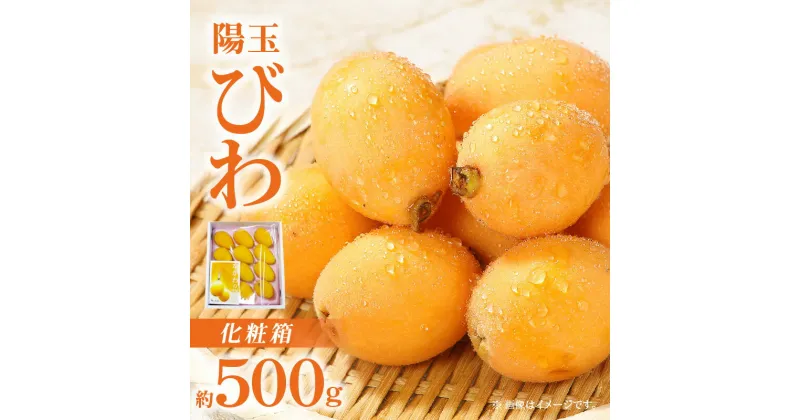 【ふるさと納税】陽玉びわ化粧箱 約500g【2025-5月上旬～2025-6月中旬配送】 | 琵琶 大きい 果物 フルーツ スイーツ デザート 果肉 果汁 果実 みずみずしい 贈答 贈答用 贈り物 ギフト プレゼント ご褒美 おすそ分け 化粧箱入り 箱入り グルメ お取り寄せ 瀬戸内