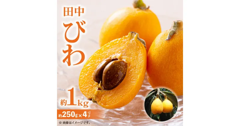 【ふるさと納税】田中びわ 約1kg (約250g×4パック)【2025-6月上旬～2025-7月中旬配送】 | 果物 フルーツ 大きめ 果実 果汁 青果物 青果 生鮮 生鮮食品 おすそ分け 自宅用 家庭用 贈答 贈り物 ギフト おやつ スイーツ デザート グルメ お取り寄せ お取り寄せグルメ 食品