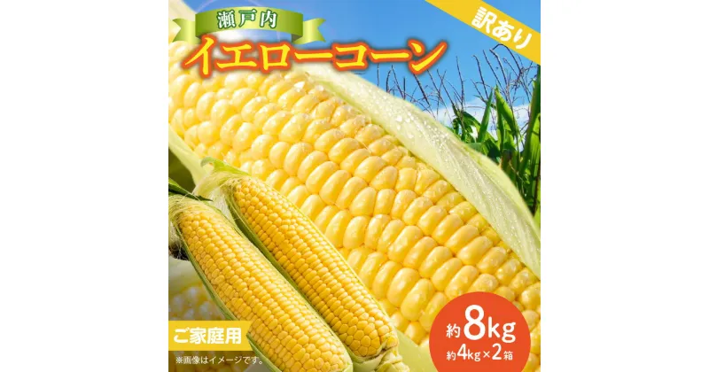 【ふるさと納税】訳あり ご家庭用 瀬戸内イエローコーン 約8kg【2025-6月上旬～2025-7月中旬配送】 | サイズ 不揃い 小さい 粒 割れ 黒ずみ 家庭用 瀬戸内 イエローコーン コーン トウモロコシ とうもろこし 野菜 甘い 柔らかい ジューシー