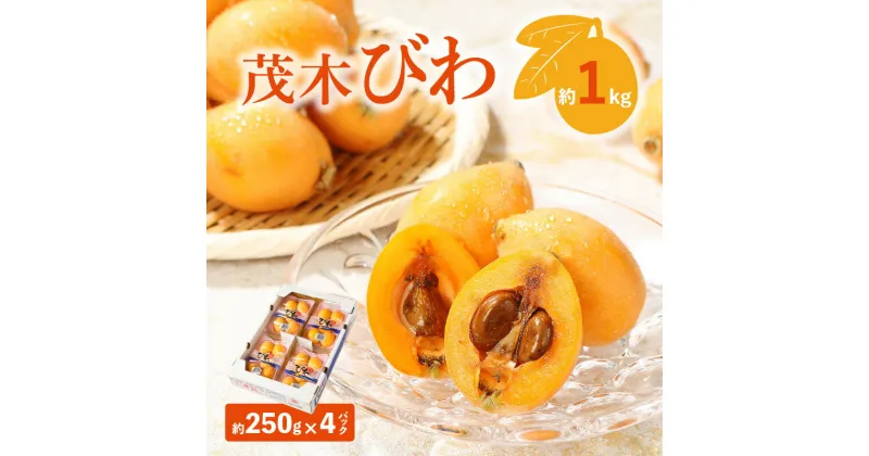 【ふるさと納税】茂木びわ 約1kg (約250g×4パック)【2025-5月中旬～2025-6月中旬配送】 | びわ 果物 フルーツ 青果物 青果 農産物 果実 果汁 アレンジ ゼリー ジャム 自宅用 家庭用 贈答 贈り物 ギフト プレゼント ご褒美 お取り寄せ お取り寄せグルメ 生鮮 生鮮食品 瀬戸内