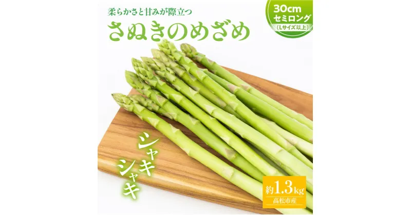 【ふるさと納税】柔らかさと甘みが際立つ さぬきのめざめセミロング30cm(Lサイズ以上)約1.3kg【2025-6月上旬～2025-6月下旬配送】 | 長い 香川県 オリジナル 品種 シャキシャキ 爽やか アスパラガス アスパラ 野菜