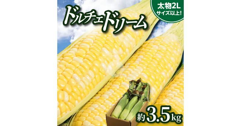 【ふるさと納税】＼寄附額改定／食べ応え抜群 太物2Lサイズ以上!ドルチェドリーム 約3.5kg【2025-6月上旬～2025-7月上旬配送】 | 太物 食べ応え抜群 大きい コーン 野菜 おうち時間 おやつ お取り寄せ 自宅用 家庭用 おすそ分け 贈り物 瀬戸内 香川県 高松市