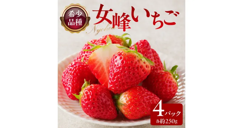 【ふるさと納税】希少品種　女峰いちご4パック(各約250g)【2025年1月中旬～2025年6月上旬配送】 | 希少 希少品種 自宅用 お取り寄せ ケーキ ピューレ ジャム 加工用 果物 フルーツ 野菜 果実的野菜 多汁 高松市産