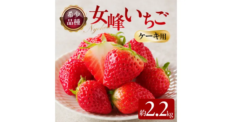 【ふるさと納税】希少ないちご ケーキ用 女峰いちご 約2.2kg【2025年1月上旬～2025年5月下旬配送】 | ケーキ用 いちご 希少品種 アレンジ ジャム ケーキ トッピング ピューレ デザート スイーツ 加工用 自宅用 果物 フルーツ 果実 果実的野菜 青果 青果物 高松市産 グルメ