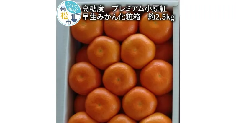 【ふるさと納税】高糖度　プレミアム小原紅早生みかん化粧箱　約2.5kg【2024-11月中旬～2025-1月中旬配送】 | 蜜柑 ミカン オリジナル品種 紅色 ギフト 贈答用 フルーツ 果物 贈り物 送料無料