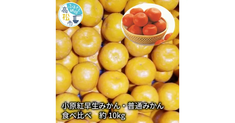 【ふるさと納税】小原紅早生みかん・普通みかん　食べ比べ　約10kg【2024-11月中旬～2025-1月中旬配送】 | 早生 みかん フルーツ 果物 果実 国内 国産 香川県 果物 紅色 柑橘 ミカン 蜜柑 小原紅早生 甘い お取り寄せ