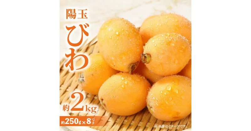 【ふるさと納税】陽玉びわ 約2kg (約250g×8パック)【2025-5月上旬～2025-6月中旬配送】 | 琵琶 大きい 果汁 たっぷり 果肉 みずみずしい 貴重 品種 ギフト プレゼント 贈り物 贈答 ご褒美 ご家庭用 果物 フルーツ スイーツ デザート 高松市産 瀬戸内