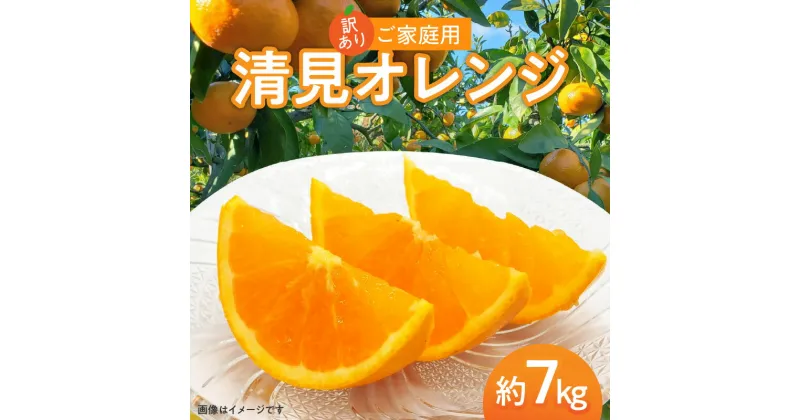 【ふるさと納税】訳あり ご家庭用 清見オレンジ 約7kg【2025-3月中旬～2025-4月上旬配送】 | 清見 オレンジ たっぷり ジューシー みかん 果物 フルーツ 柑橘 柑橘類 青果 青果物 農産物 国産 高松市産 プチプチ 弾ける 甘い 果汁 果肉 果汁 爽やか 丸ごと おすそ分け