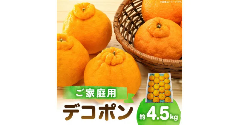 【ふるさと納税】高松産季節の果物＜ご家庭用　デコポン＞約4.5kg【2025年2月下旬～2025年4月上旬配送】 | みかん 果物 フルーツ 柑橘 定番品種 定番 蜜柑 果実 香川県 高松市 自宅用 食品 食べ物 お取り寄せ おすそ分け