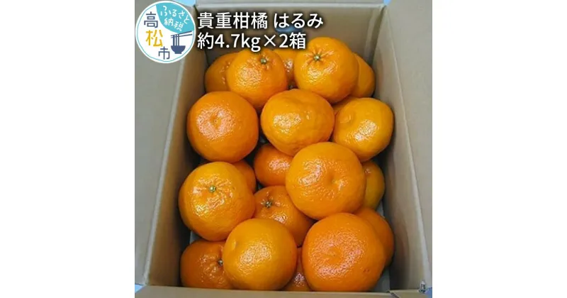 【ふるさと納税】貴重柑橘　はるみ　約4.7kg×2箱【2025年2月上旬～2025年3月中旬配送】 | みかん ミカン 果物 フルーツ 柑橘 プチプチ 弾ける 甘い 大粒 果肉 果汁 たっぷり 爽やか 丸ごと ギフト プレゼント 贈り物