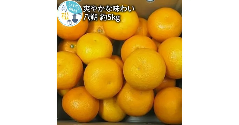 【ふるさと納税】爽やかな味わい 八朔 約5kg【2025年2月中旬～2025年3月下旬配送】 | 柑橘 みかん ミカン 果物 フルーツ 香川県 高松市 果実 果肉 蜜柑 上品 食感 甘さ 酸味 ギフト 贈り物 自宅用 家庭用