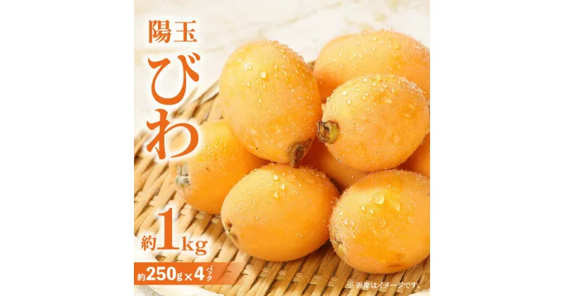 【ふるさと納税】陽玉びわ 約1kg (約250g×4パック)【2025年5月上旬～2025年6月中旬配送】 | 大玉 果物 フルーツ 青果物 青果 デザート スイーツ 果汁 みずみずしい 贈り物 贈答 プレゼント 自宅用 家庭用 おすそ分け グルメ おすすめ おやつ お取り寄せ 高松市産