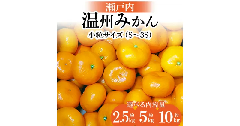 【ふるさと納税】＼寄附額改定／【先行予約】内容量が選べる瀬戸内温州みかん　小粒サイズ