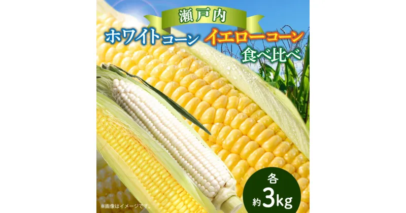 【ふるさと納税】瀬戸内ホワイトコーン・イエローコーン食べ比べ 各約3kg【2025-6月中旬～2025-7月中旬配送】 | とうもろこし 国産 高松市産 野菜 ギフト お取り寄せ 自宅用 家庭用 贈り物 瀬戸内 香川県 高松市 白い 甘い 冷蔵