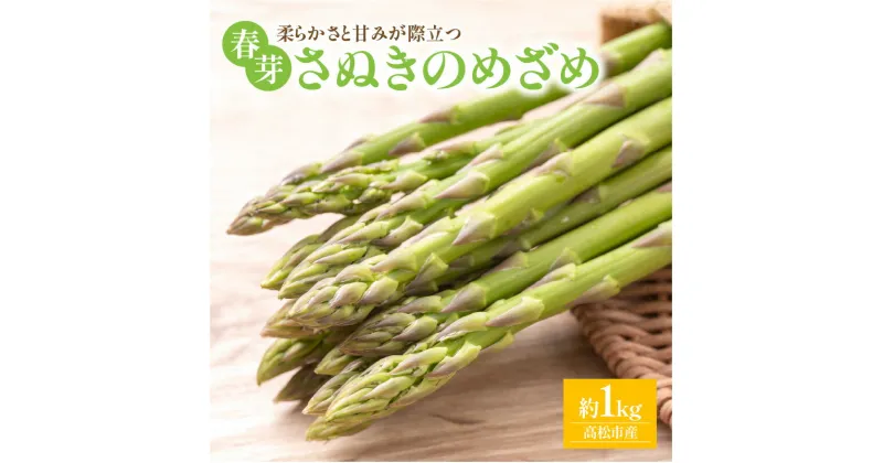 【ふるさと納税】柔らかさと甘みが際立つ さぬきのめざめ春芽 約1kg【2025-3月上旬～2025-4月下旬配送】 | アスパラガス 国産 甘い シャキシャキ オリジナル品種 アスパラ 贈り物 自宅用 家庭用 おうち時間 お取り寄せ 野菜 産地直送 高松市産 料理 食材 アスパラベーコン