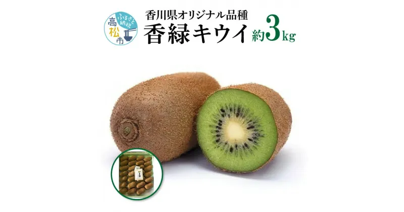 【ふるさと納税】香緑キウイ　約3kg【2024-11月下旬～2025-3月下旬配送】 | 香緑 キウイ キウイフルーツ 果物 フルーツ デザート スイーツ おやつ 果実 果肉 糖度 甘み ジューシー 国産 食品 農産物 グルメ お取り寄せ お取り寄せグルメ 四国 香川県 高松市