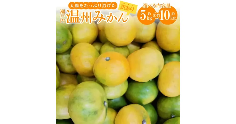 【ふるさと納税】＼寄附額改定／内容量が選べる【訳あり】太陽たっぷり浴びた　瀬戸内温州みかん　【2024-10月上旬～2025-1月中旬配送】 | 果物 フルーツ みかん オレンジ 蜜柑 ミカン 果汁 果肉 サイズ混合 香川県 高松市