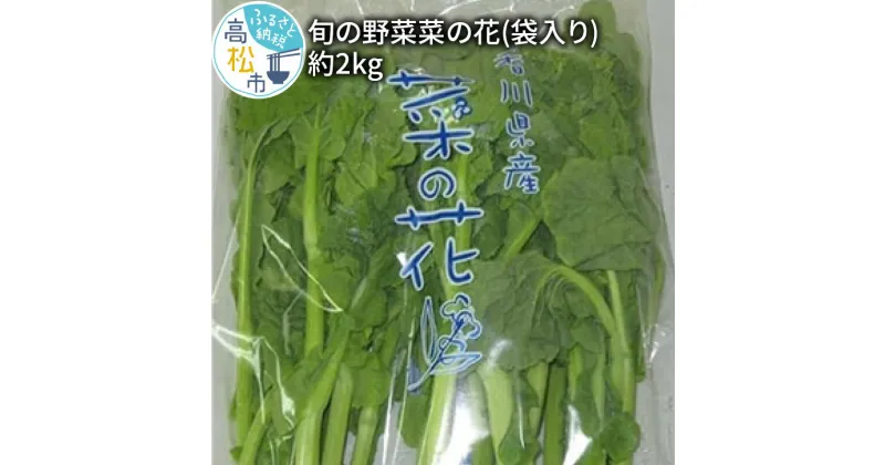 【ふるさと納税】旬の野菜 菜の花 (袋入り) 約2kg【2024-12月上旬～2025-3月下旬配送】 | 国産 高松市産 旬の野菜 春野菜 花菜 食用 ほろ苦い 和え物 炒め物 揚げ物 味噌汁 自宅用 家庭用 おすそ分け 和食 お取り寄せ 香川県 高松市