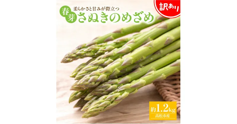 【ふるさと納税】訳あり 柔らかさと甘みが際立つ さぬきのめざめ春芽 約1.2kg【2025-3月上旬～2025-4月下旬配送】 | 国産 春芽 大きい 柔らかい 甘い オリジナル品種 自宅用 家庭用 おうち時間 お取り寄せ 新鮮 野菜 旬 旬の味覚 産地直送 香川県 高松市