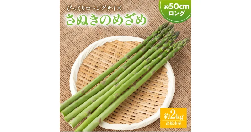 【ふるさと納税】びっくりロ～ングサイズ さぬきのめざめロング約50cm 約2kg【2025-2月中旬～2025-4月下旬配送】 | 高松市産 国産 爽やか 甘い ジューシー ロング オリジナル品種 品種 アスパラ 自宅用 おうち時間 お取り寄せ 新鮮 野菜 農産物 旬 旬の野菜 産地直送