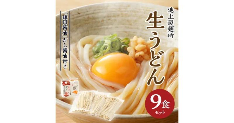 【ふるさと納税】本家　池上製麺所　生うどん9食（鎌田醤油　だし醤油） | うどん セット もっちり ツルツル 弾力 コシ 喉越し 生麺 麺類 食卓 シンプル 釜たまうどん 生醤油うどん 長年 定番 手作り 送料無料