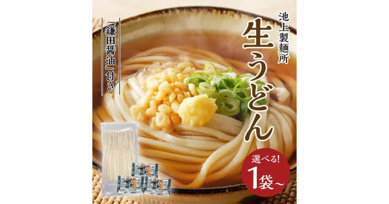 【ふるさと納税】本家　池上製麺所　生うどん（鎌田醤油付）（1袋・2袋） | うどん 香川県高松市 さぬきうどん 本家 昭和32年創業 アイドル的存在るみおばあちゃんのお店 もっちりと弾力のあるコシの強さとツルツルとした喉越しのよさが自慢 手作業 送料無料 2000円ポッキリ