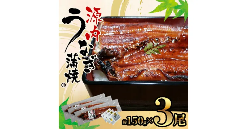 【ふるさと納税】源内うなぎ（3尾） | 真空パック たれ 3袋 冷凍 脂 粉山椒 土用の丑の日 うなぎの旬 川魚 漁師 商標登録 山家鮮魚 平賀源内 讃岐 製造 加工 香川県 高松市 志度町 送料無料
