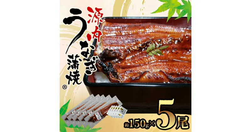 【ふるさと納税】源内うなぎ（5尾） | 真空パック たれ 5袋 冷凍 脂 粉山椒 土用の丑の日 うなぎの旬 川魚 漁師 商標登録 山家鮮魚 平賀源内 讃岐 製造 加工 香川県 高松市 志度町 送料無料