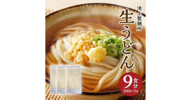 【ふるさと納税】本家　池上製麺所　生うどん9食（麺のみ） | 生うどん うどん 製麺 手作業 弾力 もっちり コシ つるつる のど越し 讃岐うどん 讃岐 加工品 加工食品 昔ながらの製法 簡単調理 アレンジ 料理 麺類 おすすめ グルメ お取り寄せグルメ 香川県 高松市 送料無料