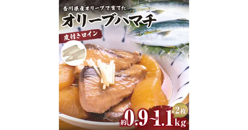 【ふるさと納税】オリーブハマチ（養殖）　皮引きロイン | ハマチ 養殖ハマチ オリーブ 魚 お魚 お刺身 刺身 おつまみ つまみ 肴 晩酌 料理 アレンジ 水産 水産品 水産加工品 加工品 グルメ お取り寄せ おすすめ 県魚 ブランド ブランド魚 香川県 高松市 送料無料