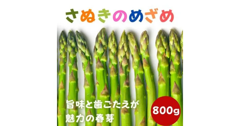 【ふるさと納税】【早出し】さぬきのめざめ春芽（アスパラガス）約800g【1月下旬発送開始】　 丸亀市 　お届け：2025年1月下旬～2月下旬