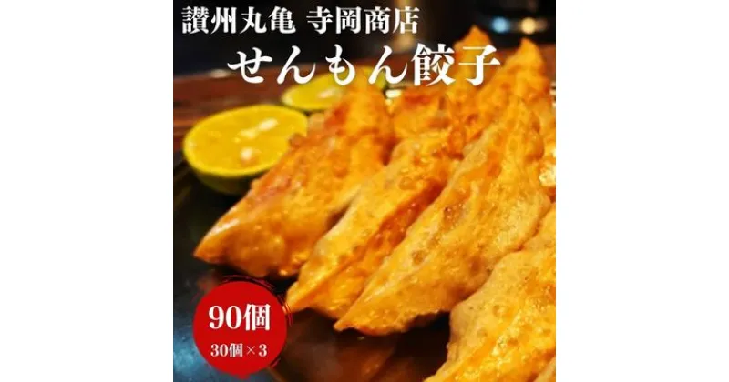 【ふるさと納税】餃子 せんもん餃子 寺岡商店 餃子セット ぎょうざ ギョウザ 肉 お肉 豚肉 豚 加工品 肉汁 惣菜　 丸亀市