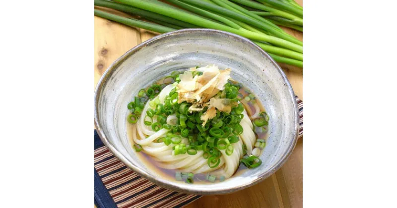 【ふるさと納税】うどん つゆ セット 讃岐のねぎ うどんセット 丸亀 讃岐 讃岐うどん さぬきうどん 半生うどん ぶっかけ 麺類 加工食品 惣菜　 丸亀市 　お届け：入金確認後、随時発送致します。