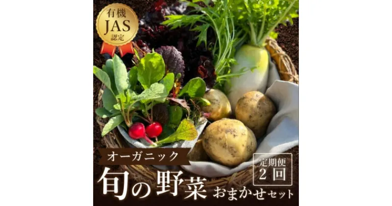 【ふるさと納税】野菜 詰め合わせ 定期便 よしむら農園 オーガニックおまかせ野菜セット/2回定期便 野菜 詰め合わせ オーガニック おまかせ セット 一人暮らし 野菜炒め 無添加 旬 有機栽培 JAS 新鮮　定期便・丸亀市　お届け：※年末年始配送不可 12/26～1/15指定不可