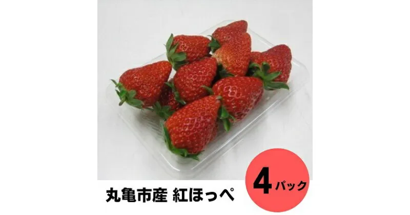 【ふるさと納税】丸亀産　紅ほっぺ苺　4パック【2月以降発送開始】　果物類・フルーツ・いちご・苺・イチゴ・紅ほっぺ苺　お届け：2025年2月上旬～5月中旬順次配送