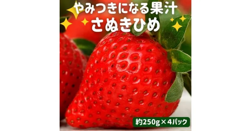 【ふるさと納税】いちご やみつきになる果汁 さぬきひめ 苺 4パック 【2月以降発送開始】果物 フルーツ くだもの イチゴ さぬき姫 香川　 丸亀市 　お届け：2025年2月上旬～5月下旬順次配送