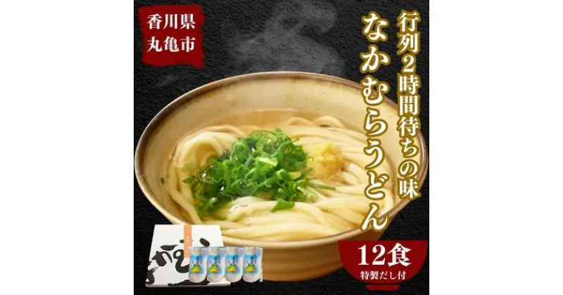 【ふるさと納税】丸亀の銘店 なかむらうどん　半生うどん（かけうどん）12食セット　麺類・うどん・なかむらうどん・半生うどん・かけうどん・さぬきうどん・かけつゆ・大人気