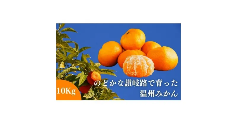 【ふるさと納税】のどかな讃岐路で育った温州みかん 約10kg【11月中旬以降発送開始】　 果物 柑橘 フルーツ おやつ こたつ デザート 香川県産 隠れた名産地 甘い 爽やか 冬 冬のフルーツ 　お届け：2024年11月中旬～2025年2月末